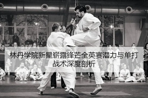 lin-dan-xue-yuan-xin-xing-zhan-lu-feng-mang-quan-ying-sai-qian-li-yu-dan-da-zhan-shu-shen-du-pou-xi-2-990.jpg